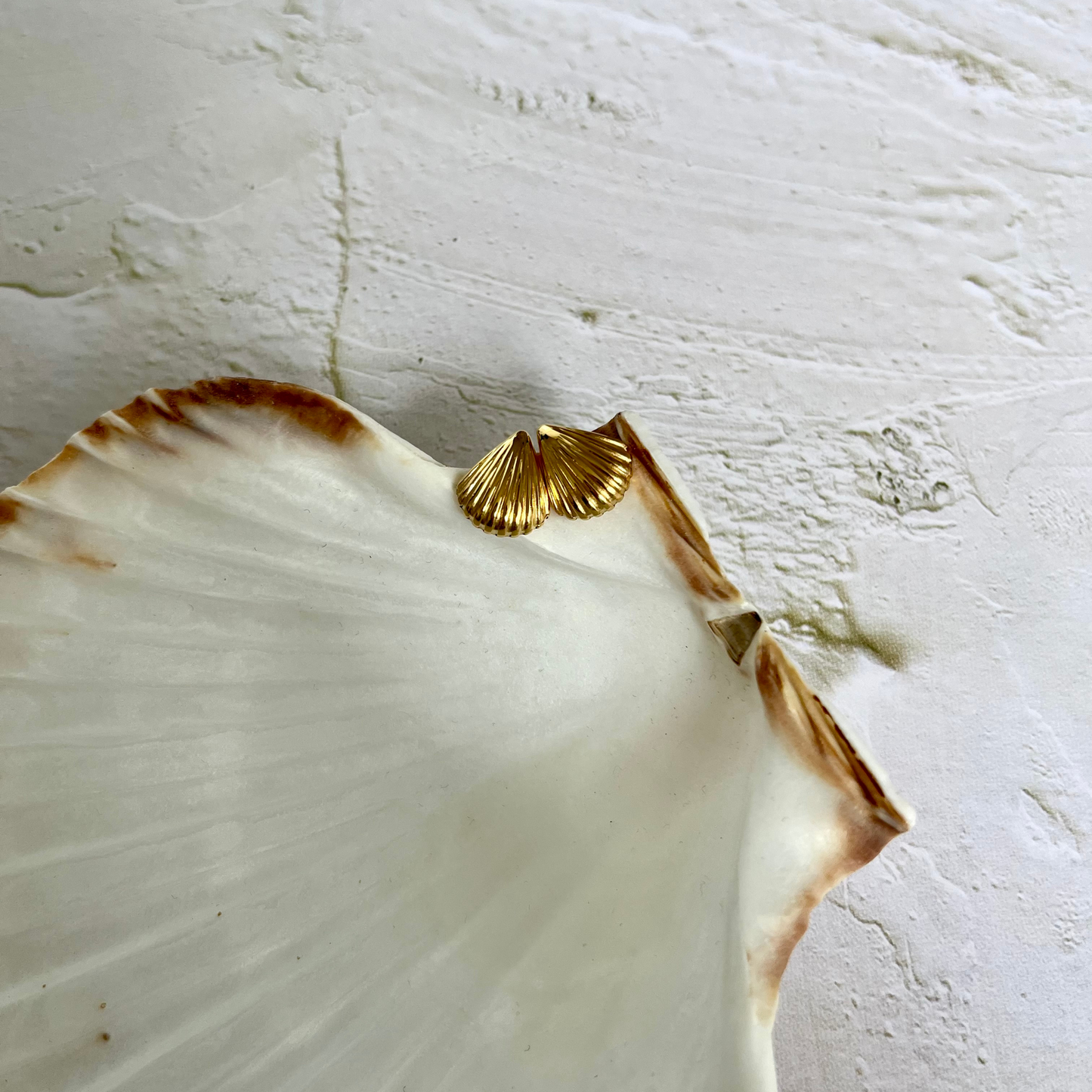 Beach jewellery, waterproof jewellery, shell earrings, gold earrings