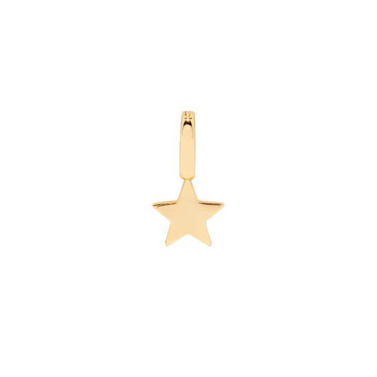 Gold Star Charm