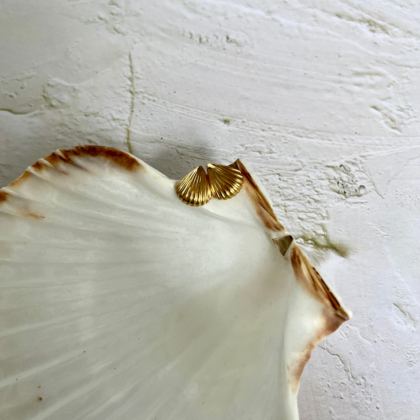 Capri Gold Shell Studs